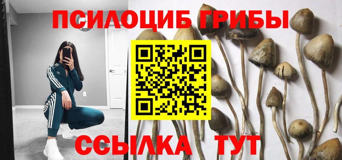 Галлюциногенные грибы мицелий  Вход с VPN  где продают   Артём 